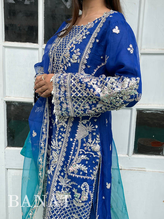 Heavy Pakistan party wear suit